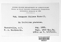 Image Associated With the Occurence